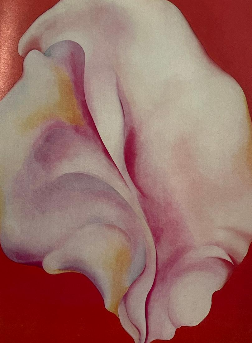 Georgia OKeeffe - Shell on Red, 1931 (1 of 1)