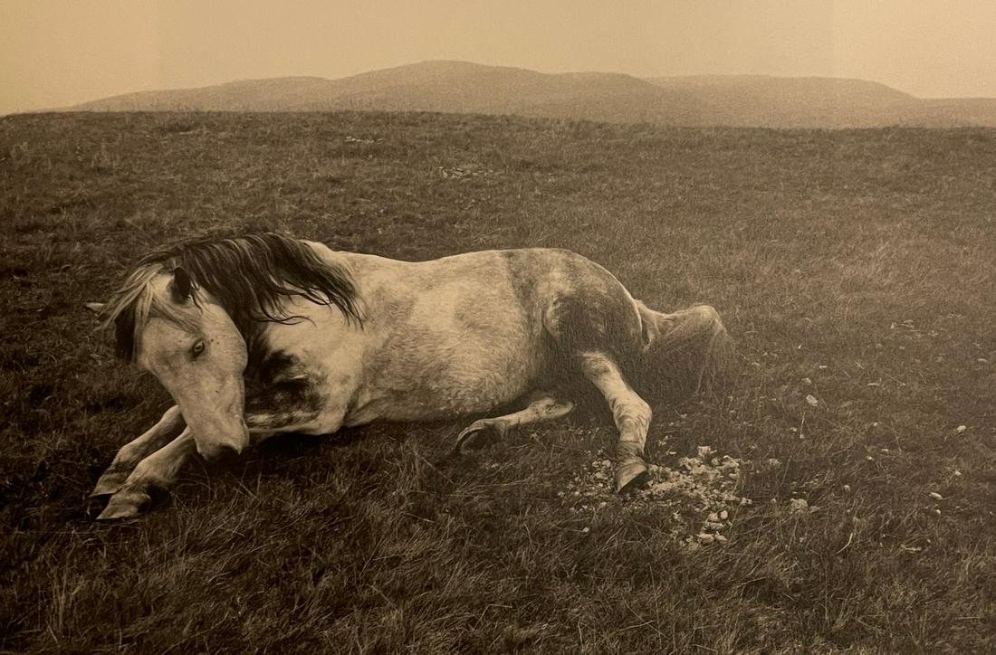Bruce Davidson - South Wales, 1965: BRUCE DAVIDSON (B. 1933) South Wales, 1965 Print in Colors 6 1/4" x 9 1/2" Bruce Davidson is an American photographer known for capturing images of communities and individuals living on the fringes of