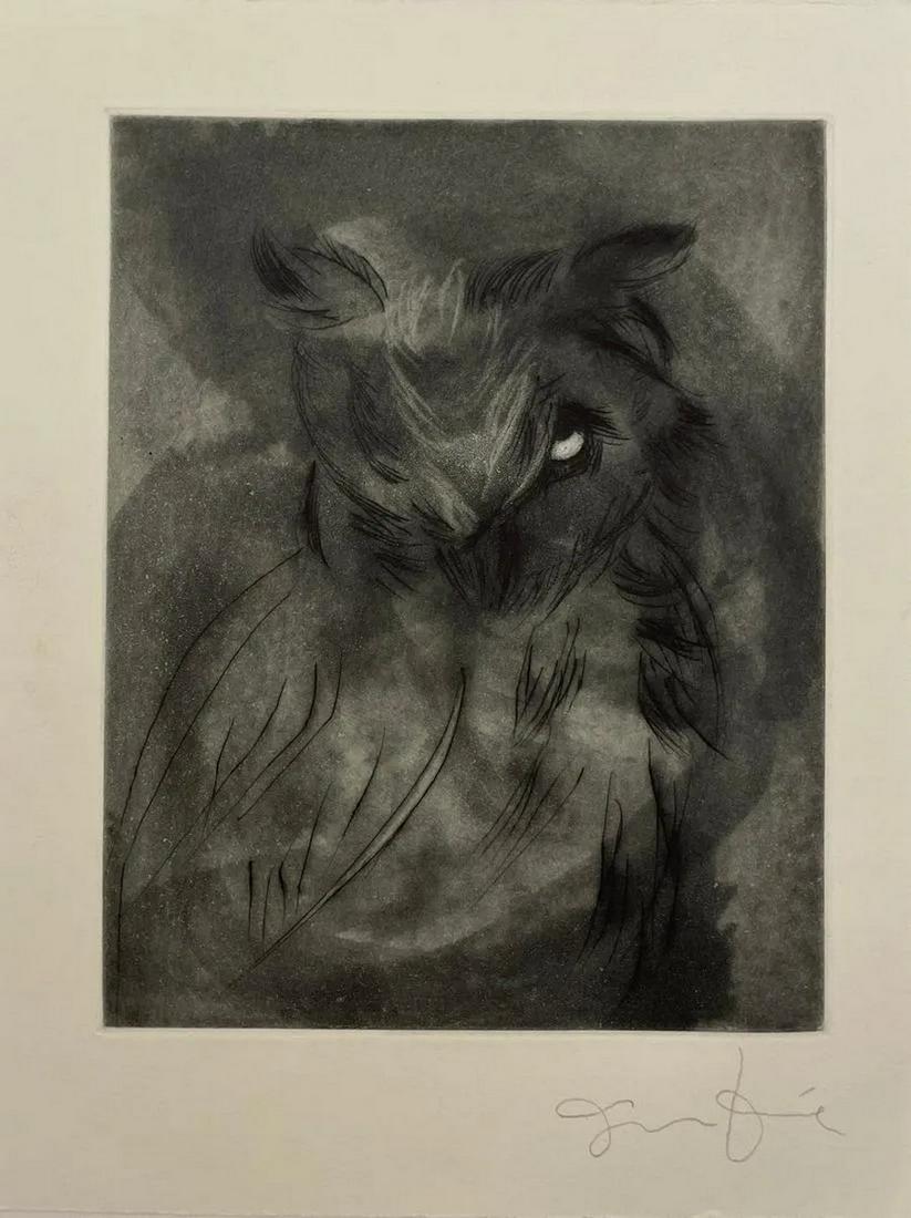 Jim Dine, Hand Signed, Owl Etching (1 of 3)