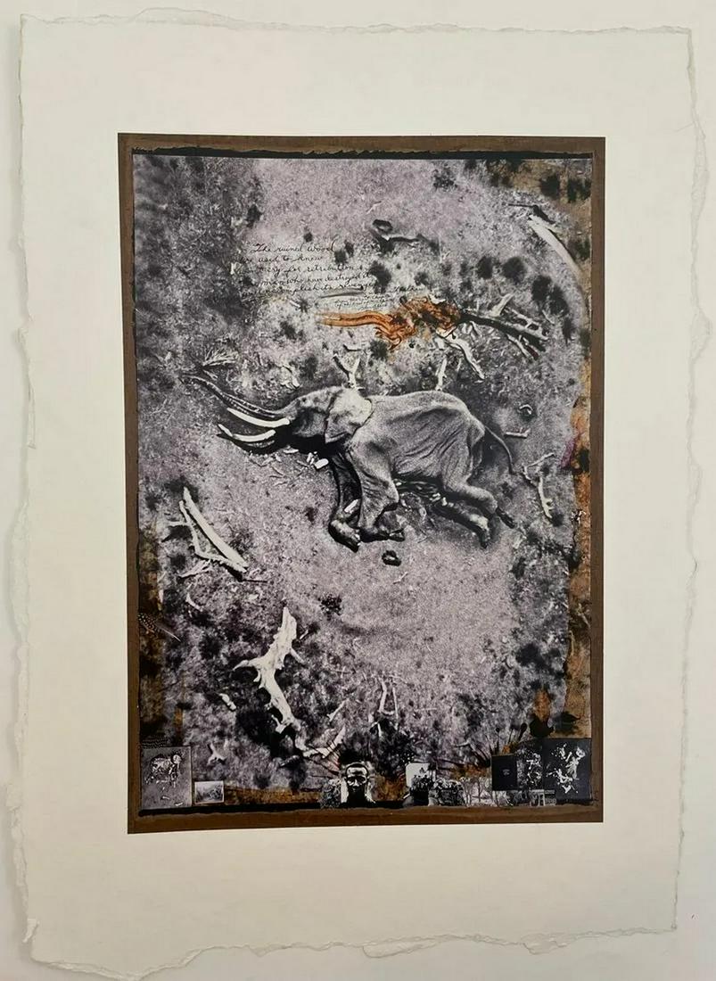 Peter Beard - Dead Elephant, 1984: PETER BEARD (1938-2020) Dead Elephant Print in Colors mounted on deckle edge paper 8 x 11.5 inches (Image Size)