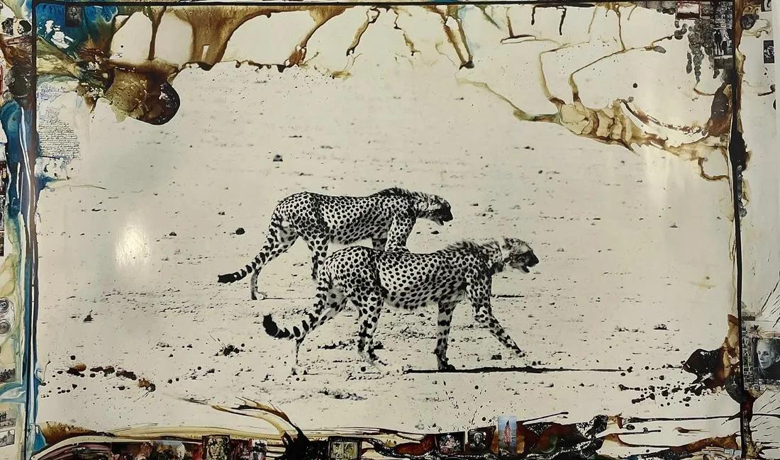 Peter Beard - Hunting Cheetahs on the Taru Desert, 1960 (1 of 1)