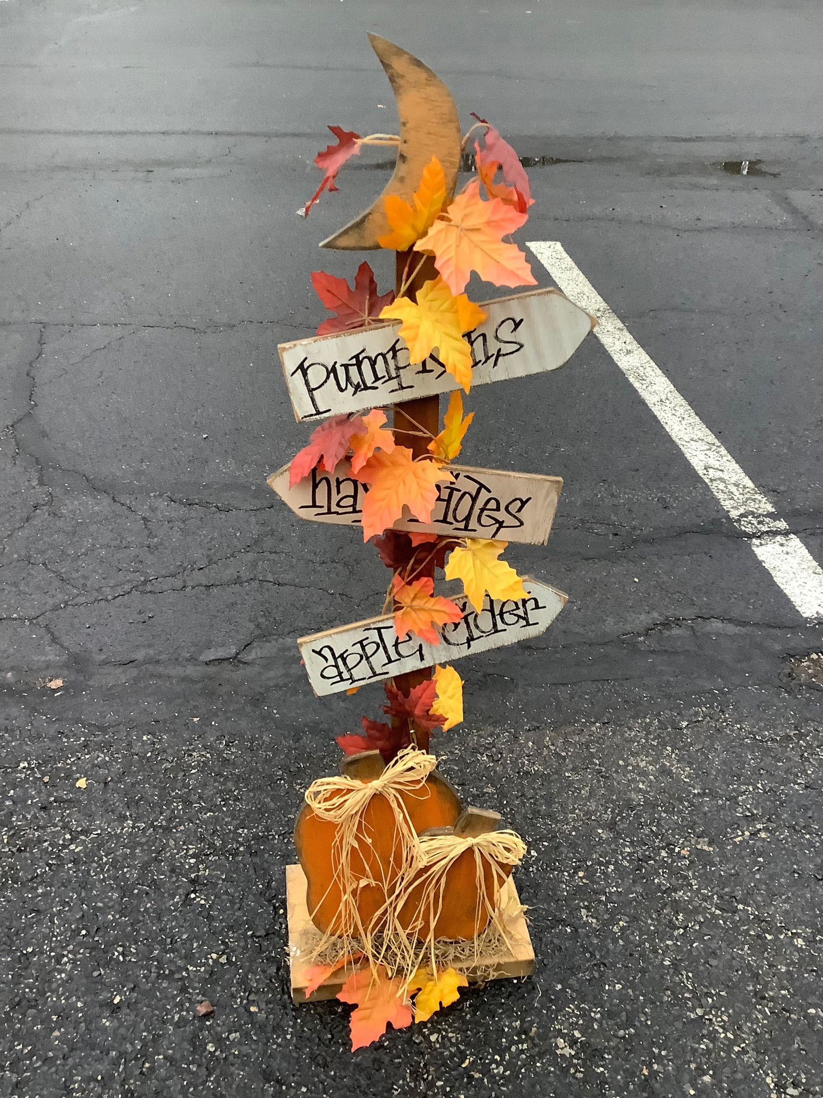 fall decorative sign (1 of 1)