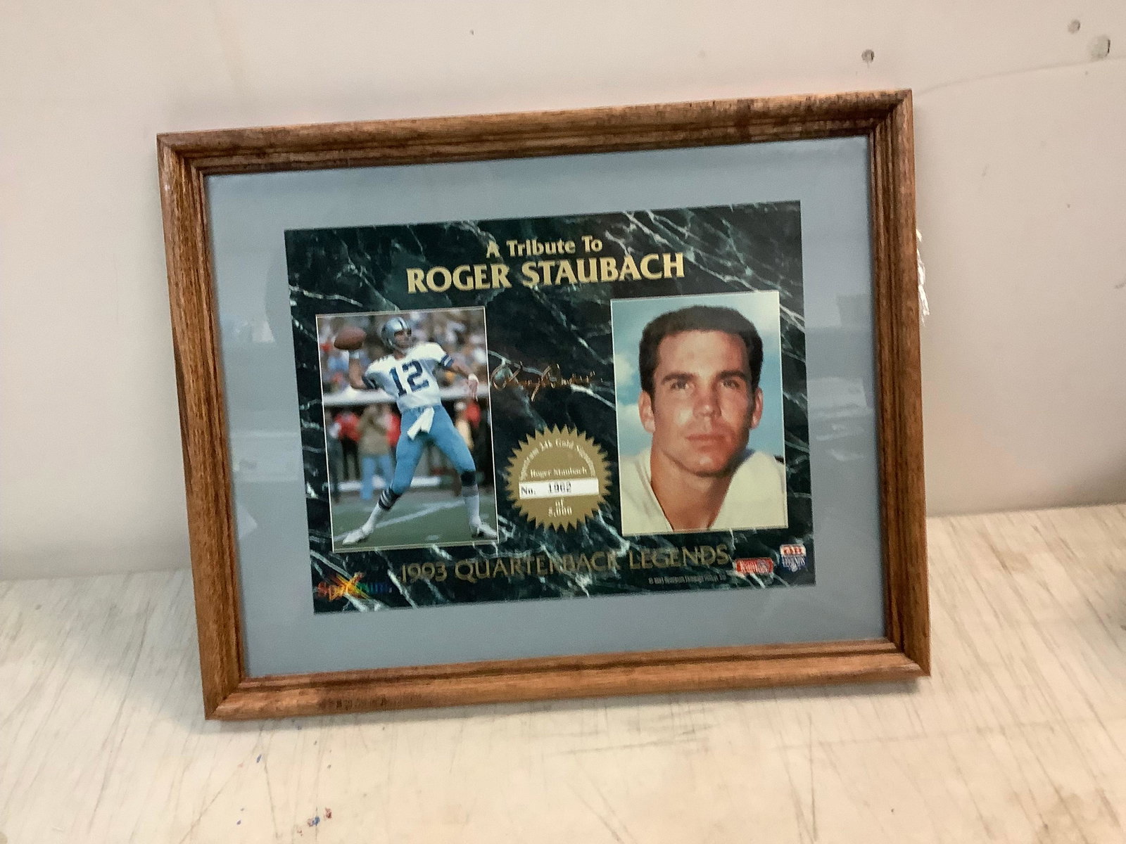 1993 bob griese tribute 12x15: 1993 bob griese tribute 12x15