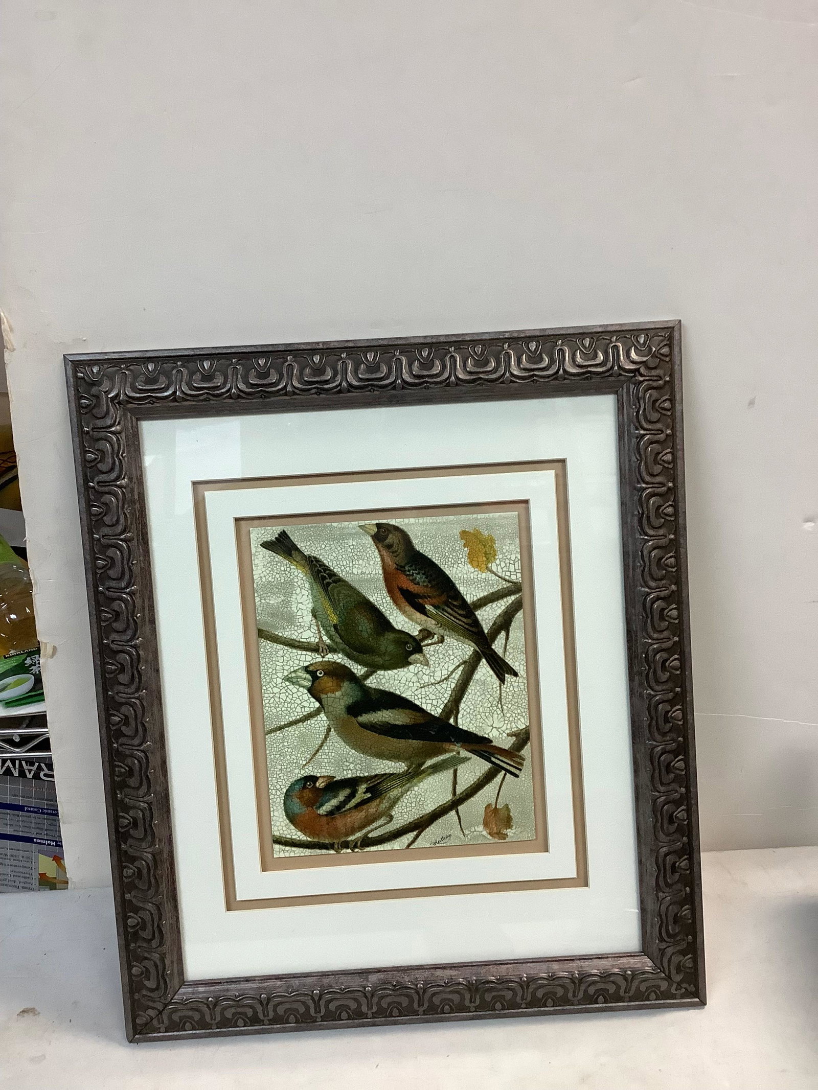 Framed Bird art 21 x 17: Framed Bird art 21 x 17