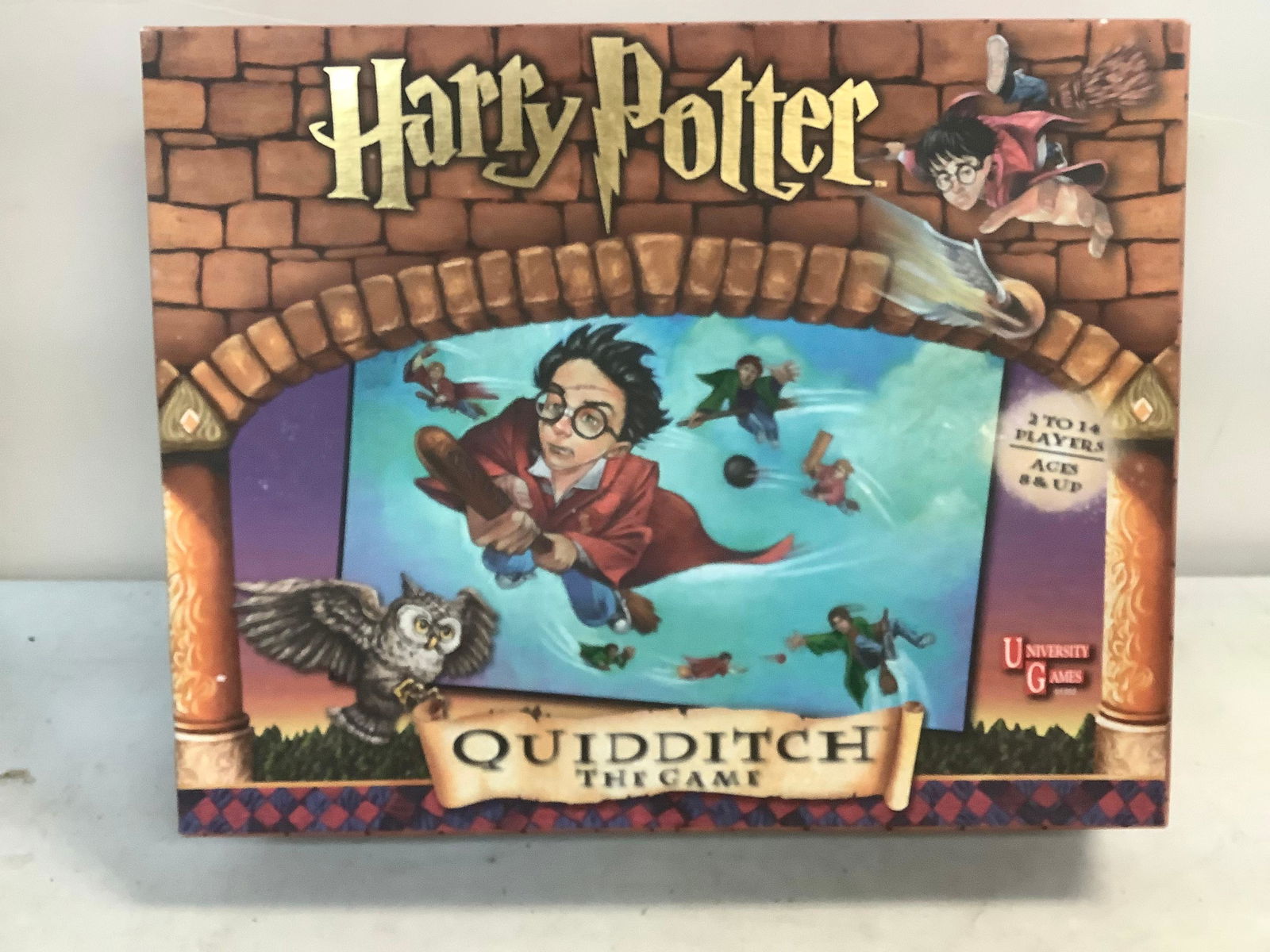Harry Potter Quidditch the game (1 of 1)