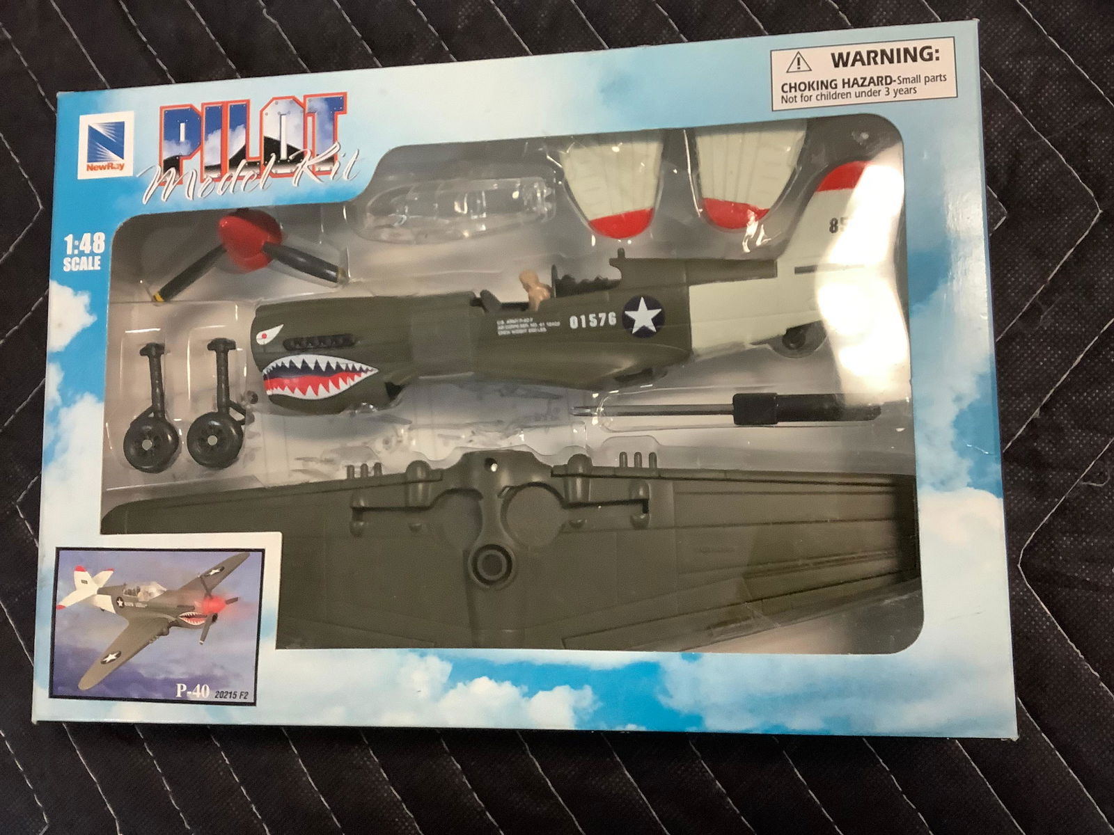 New Ray Pilot Model Kit 1/48 scale (1 of 1)