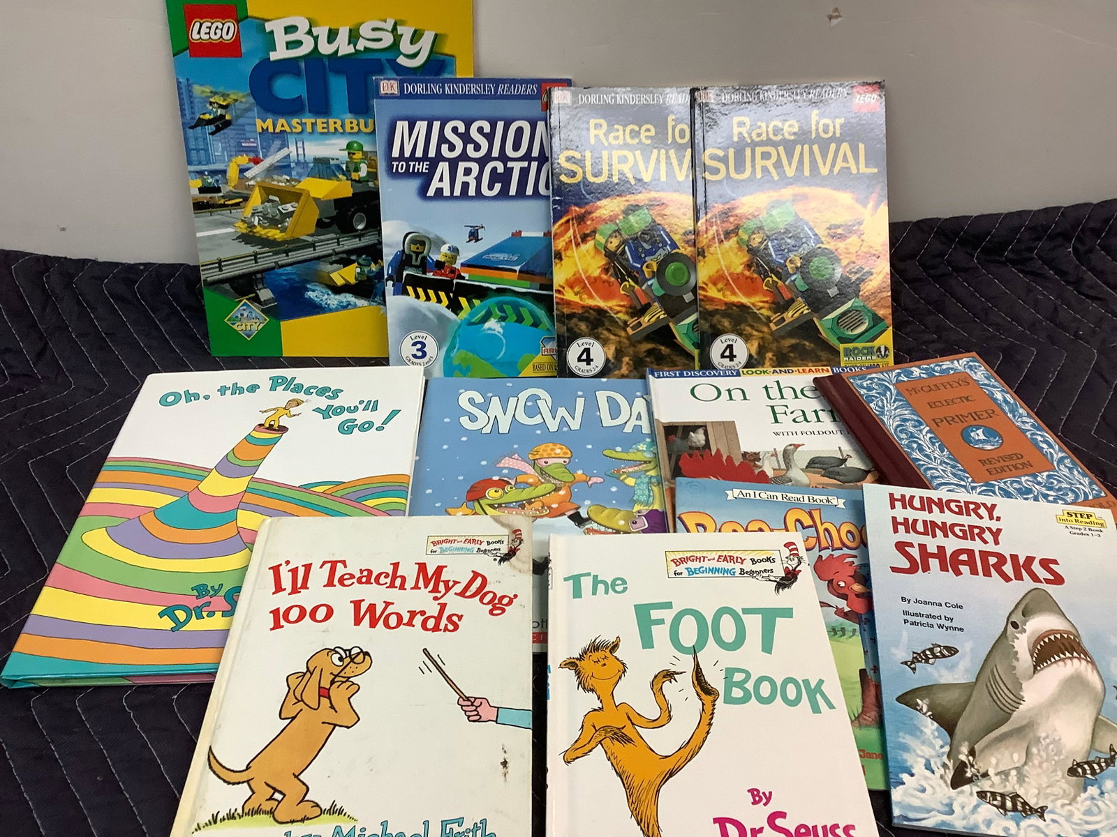 Lot of Lego, Dr. Seuss and More Books: Lot of Lego, Dr. Seuss and More Books