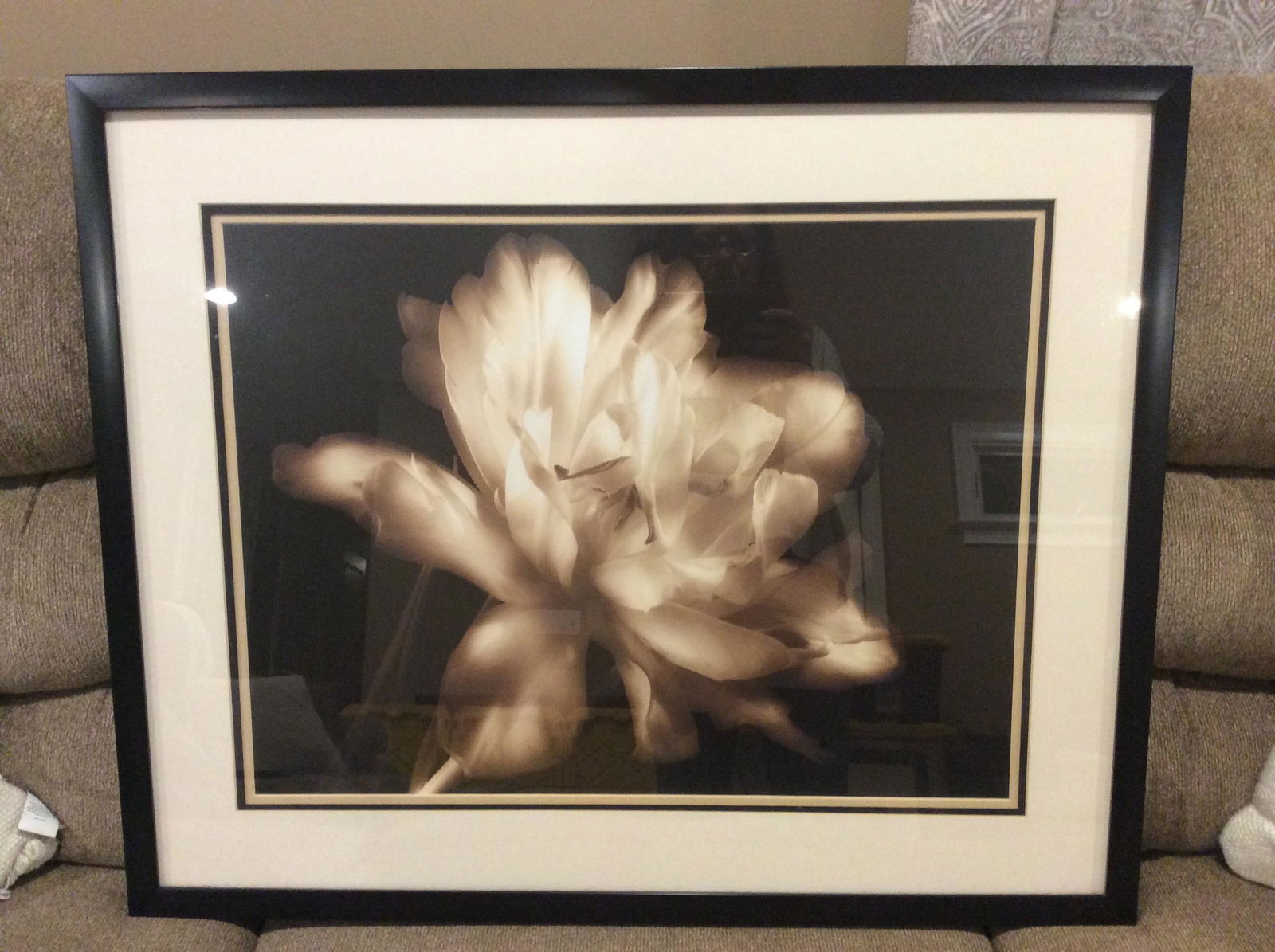 Britt, charles 31.5 x 35.5 white modern wood framed museum art print titled- Double DappledII (1 of 1)
