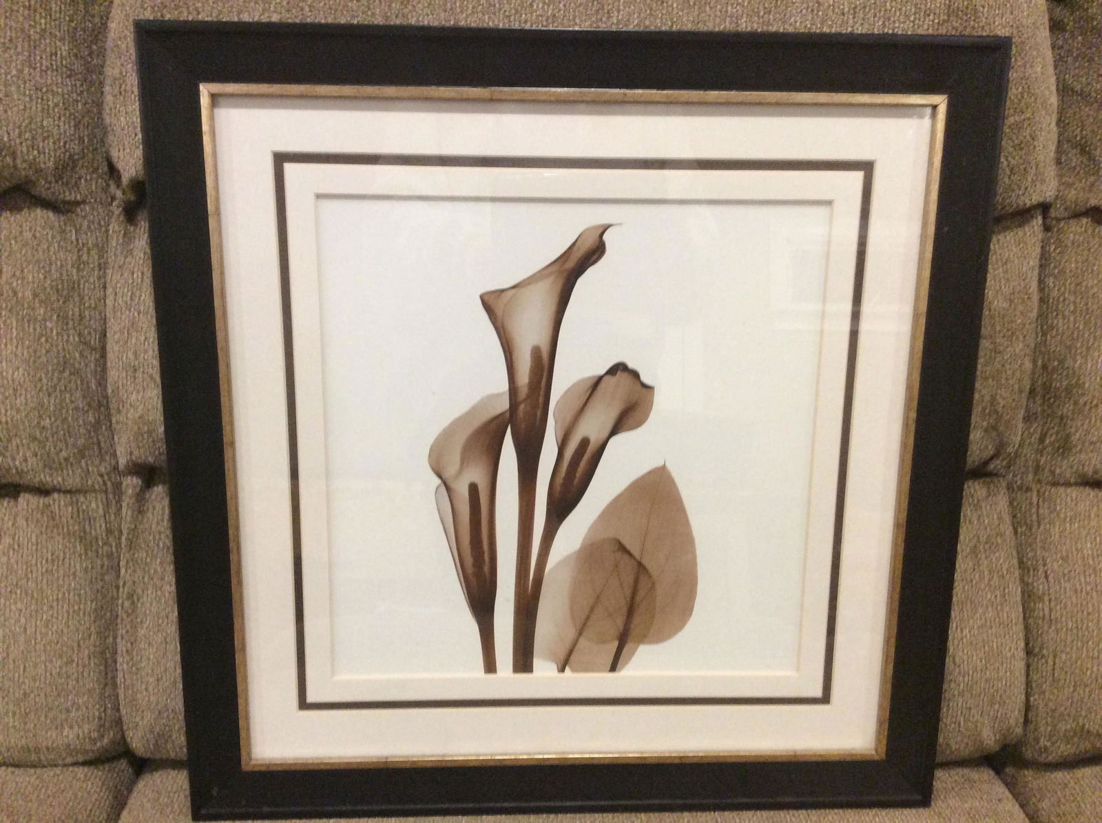 Calla lily xray floral print matted and framed 18.5 x 18.5 (1 of 1)