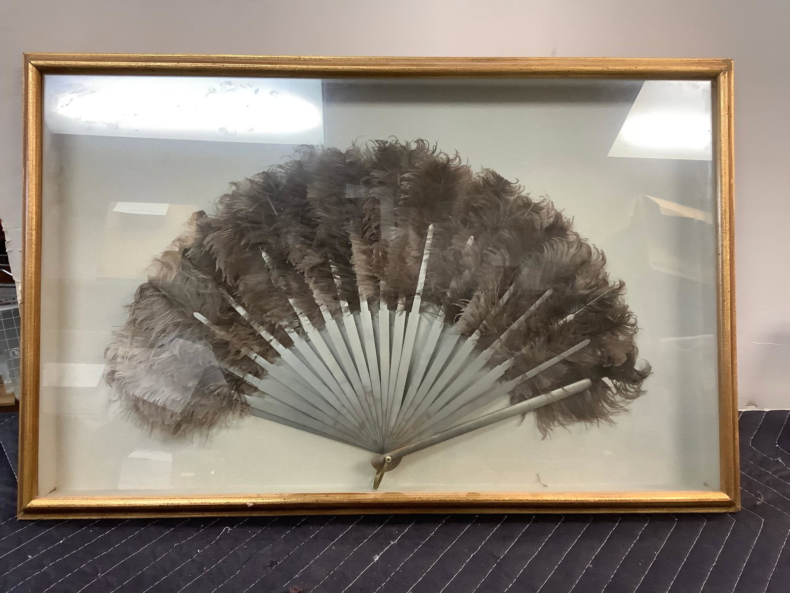 Framed Fan in Shadow Box 16x25.5: Framed Fan in Shadow Box 16x25.5