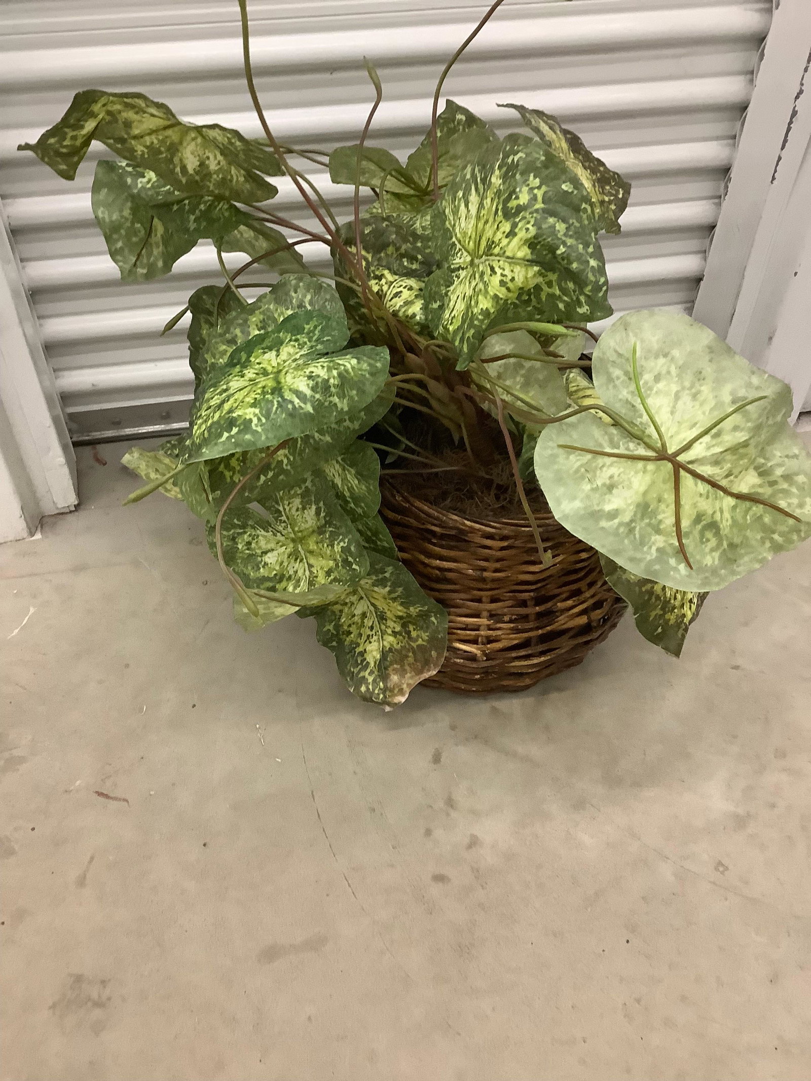 Wicker Planter w/ Faux Plant: Wicker Planter w/ Faux Plant