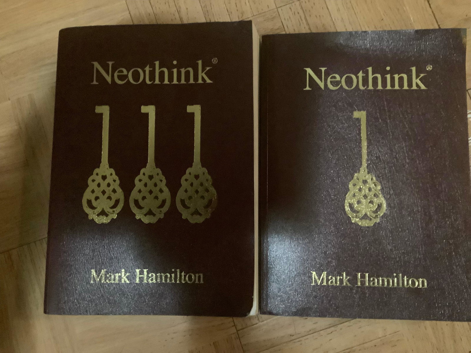 Lot of 2 Neo Think Books By Mark Hamilton: Lot of 2 Neo Think Books By Mark Hamilton