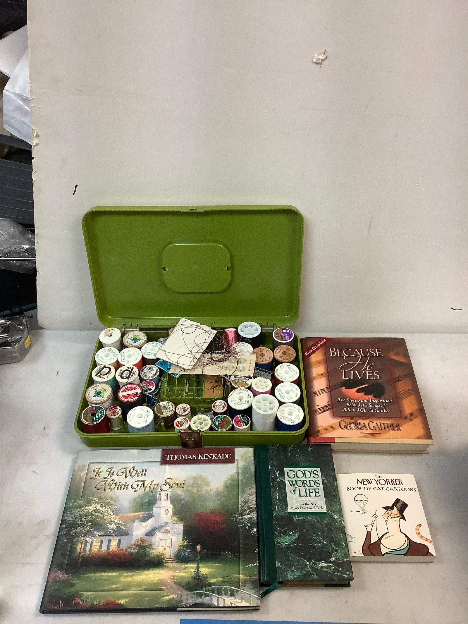 Lot of books and sewing supplies: Lot of books and sewing supplies