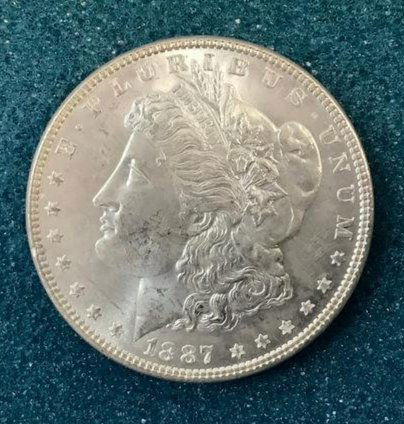 1887 Uncirculated 1 Dollar Coin (1 of 1)
