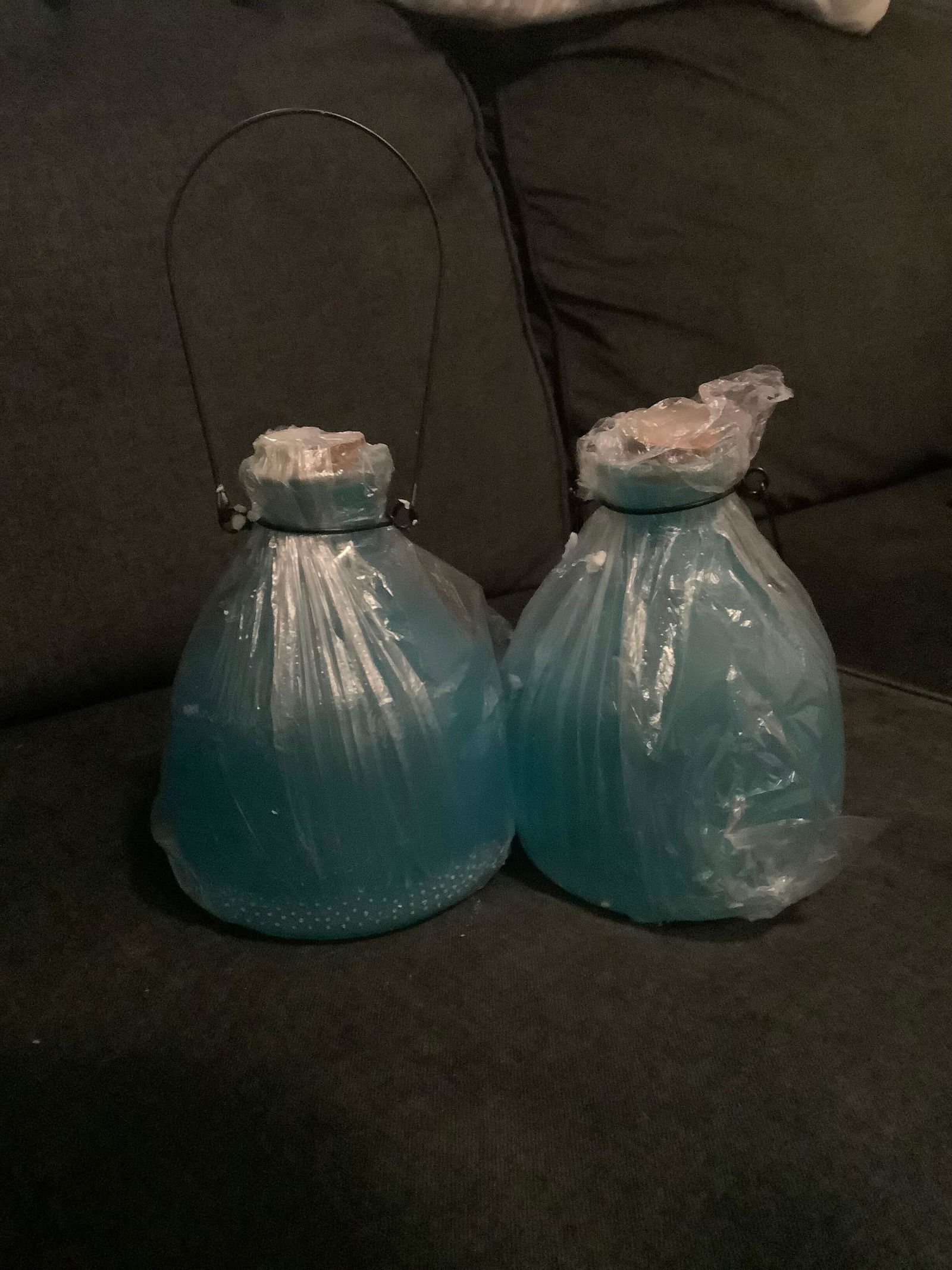 Lot of 2 New Colorful Glass Bee & Wasp Traps (1 of 1)