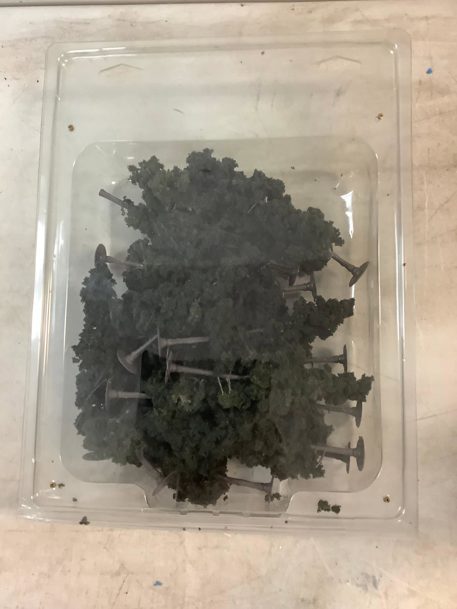Ho Trees: Ho Trees