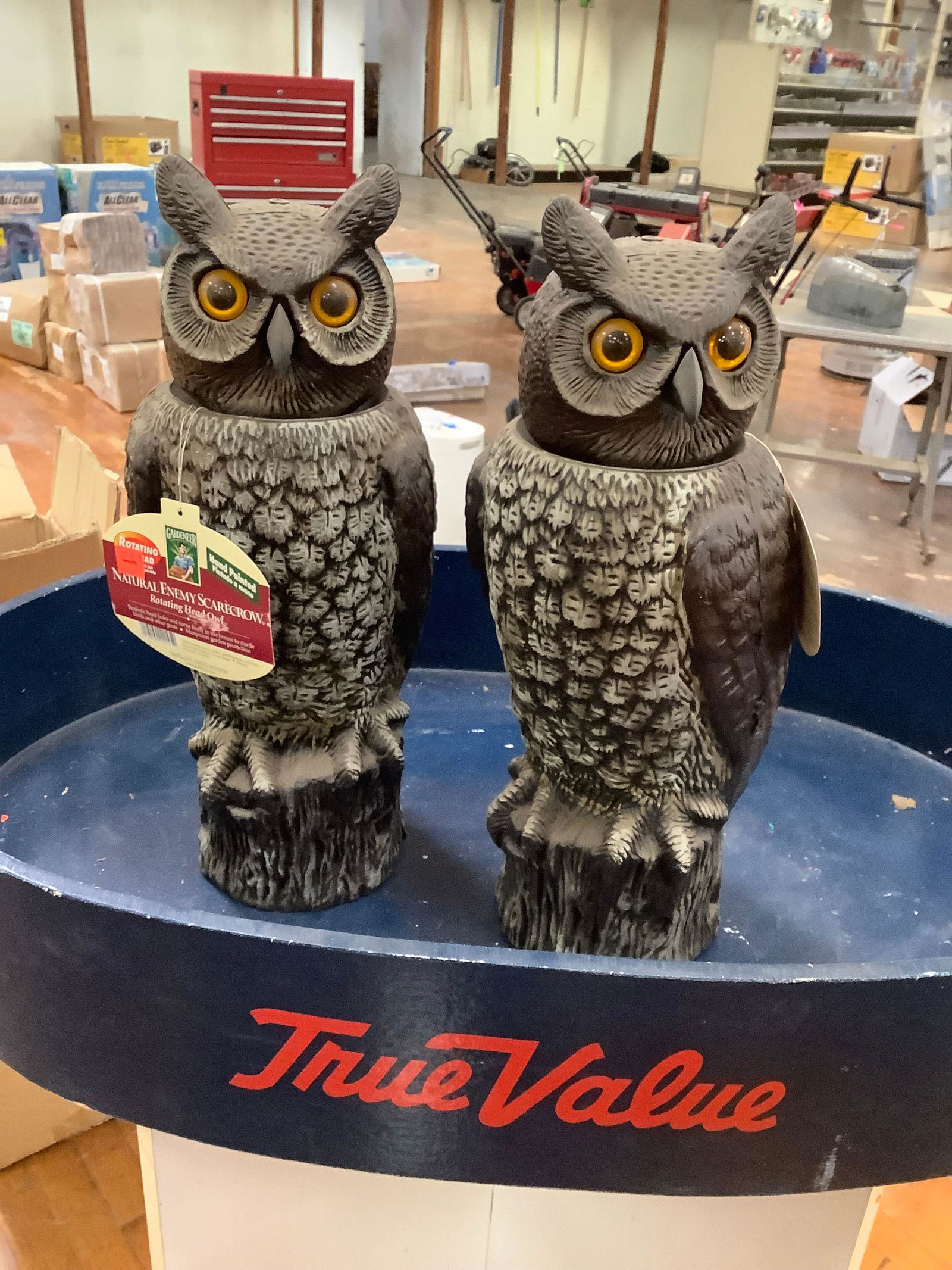 2 resin bobblehead owls: 2 resin bobblehead owls