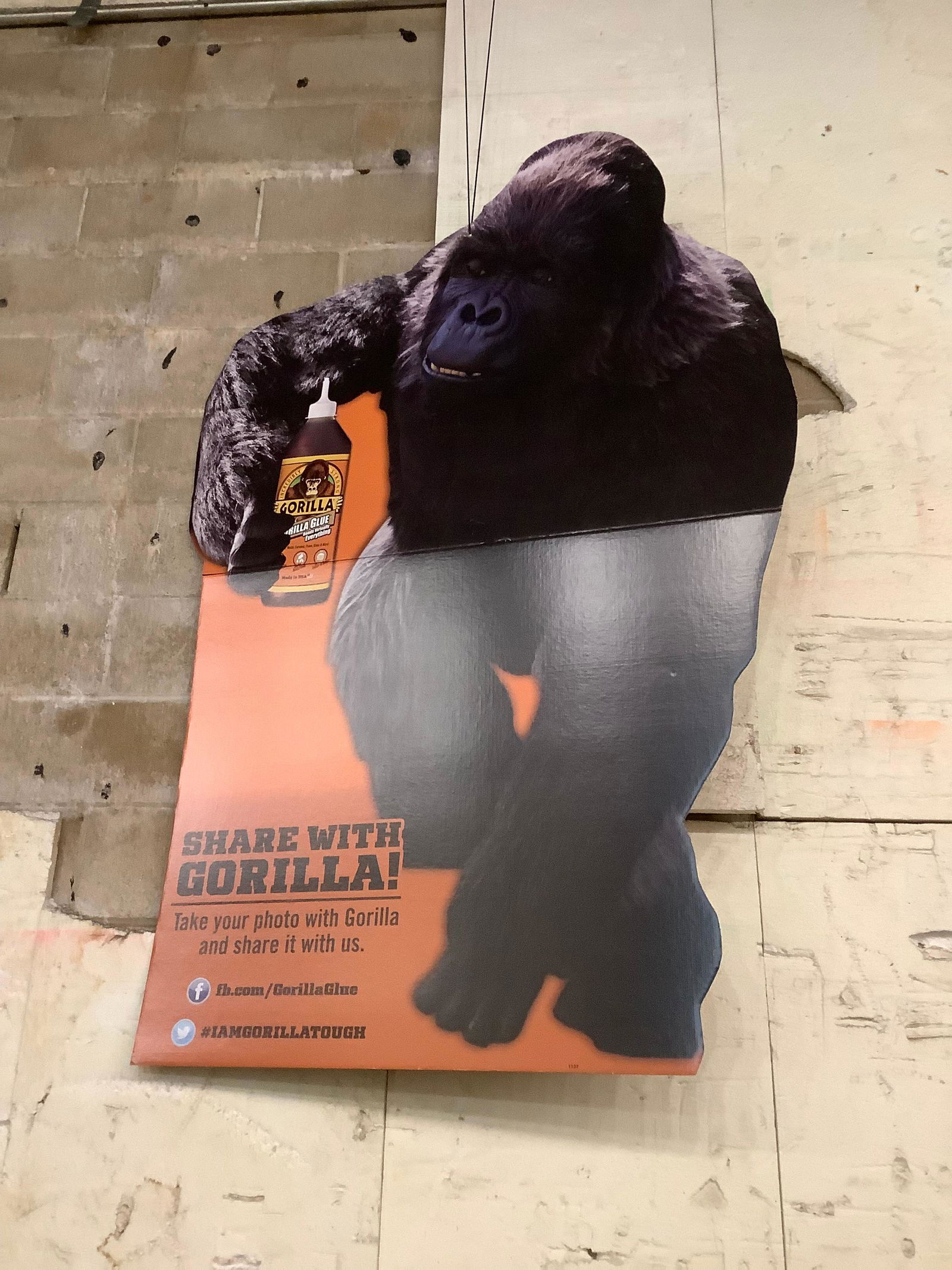 Gorrila glue advertisement sign approximately 5 ft. tall (1 of 1)
