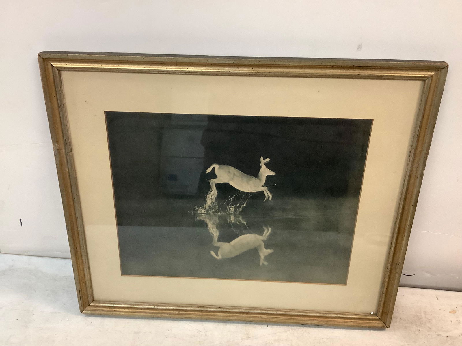 Framed deer by lake reflection picture 15.25in.tall x18 in. wide (1 of 1)