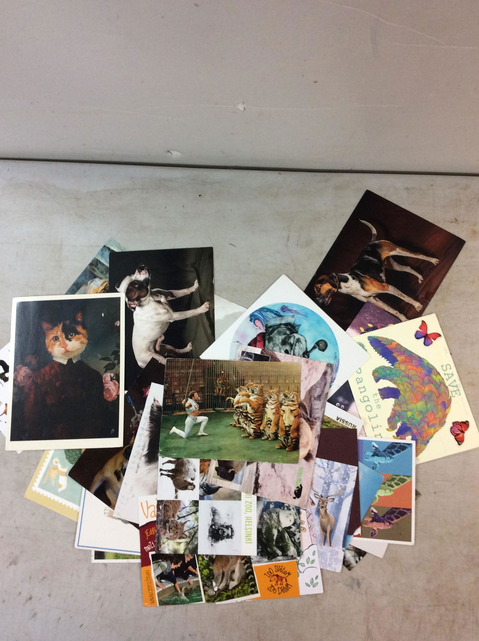 30 post cards from around the world (animals) (1 of 1)