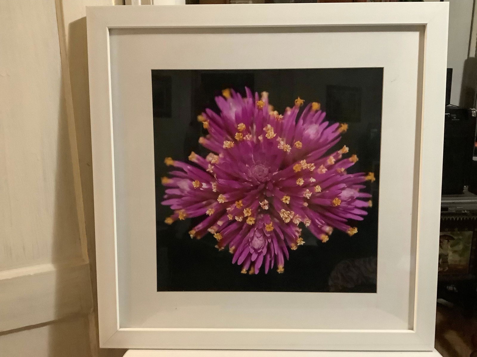 Framed Flower Picture 26.5x26.5 (1 of 1)