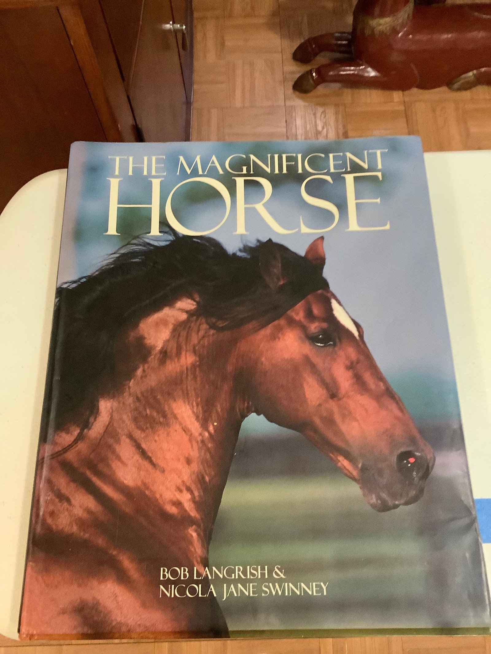 Large The Magnificent Horse Table Book 17.5x14 (1 of 1)