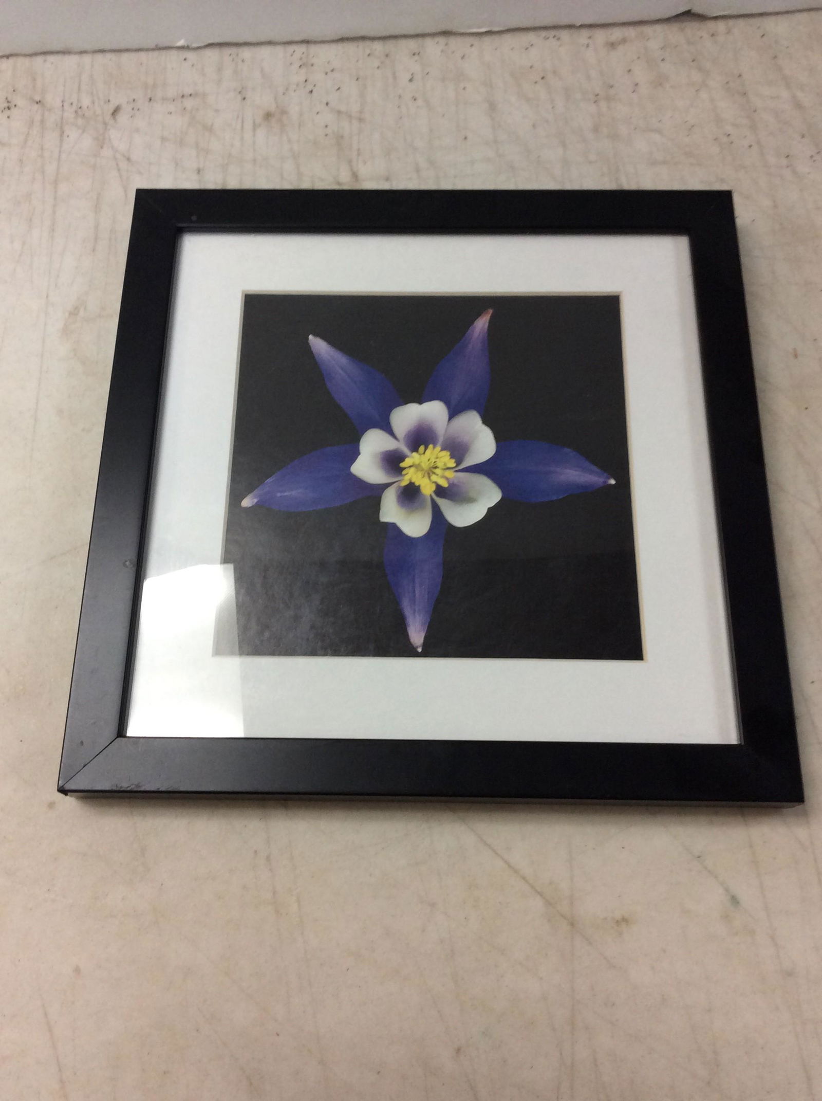 Framed Purple florals purple lily by joson about 11.5in.x11.5in. (1 of 1)