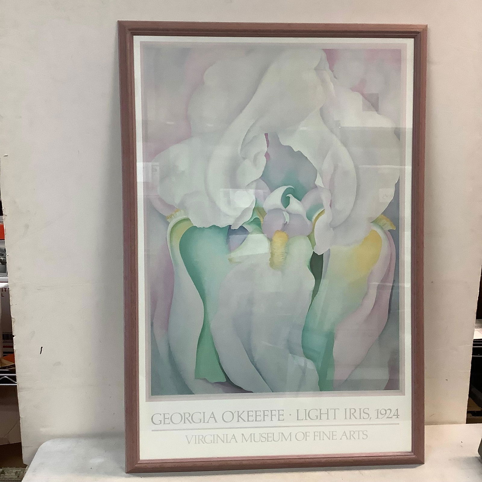 GEORGIA O'KEEFFE light iris, 1924 from virginia museum of fine arts 38.5in x 26.5 (1 of 1)