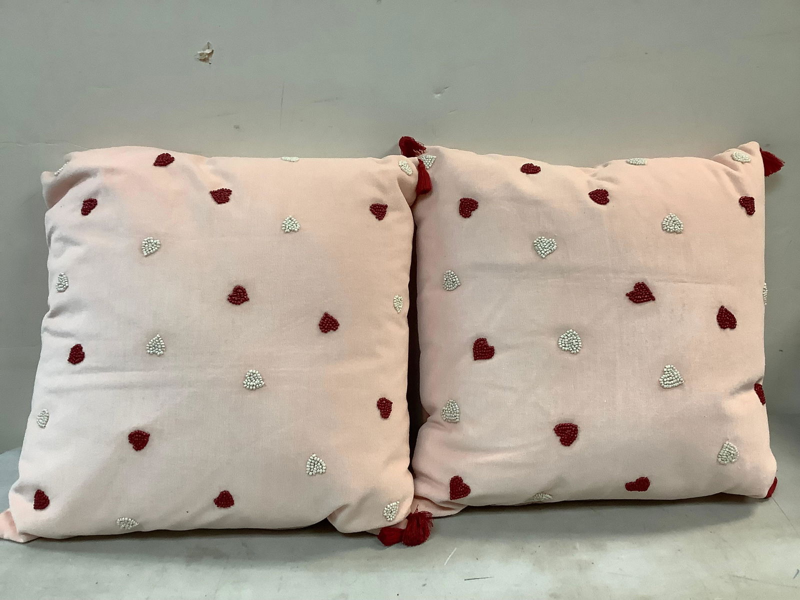 2 decorative Opalhouse pillows (1 of 1)