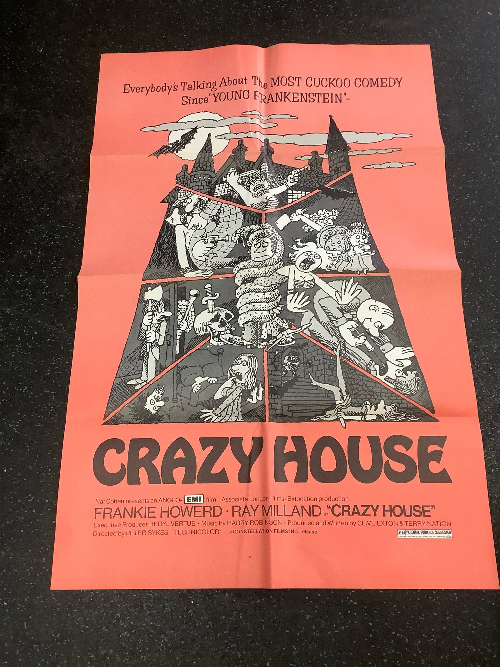 Crazy House Movie Poster 4.75x26.75: Crazy House Movie Poster 4.75x26.75