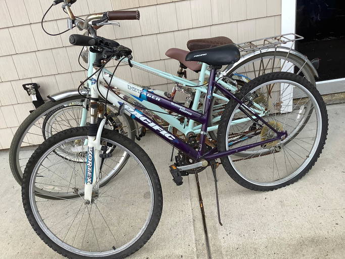 Pacific Voyager Bike