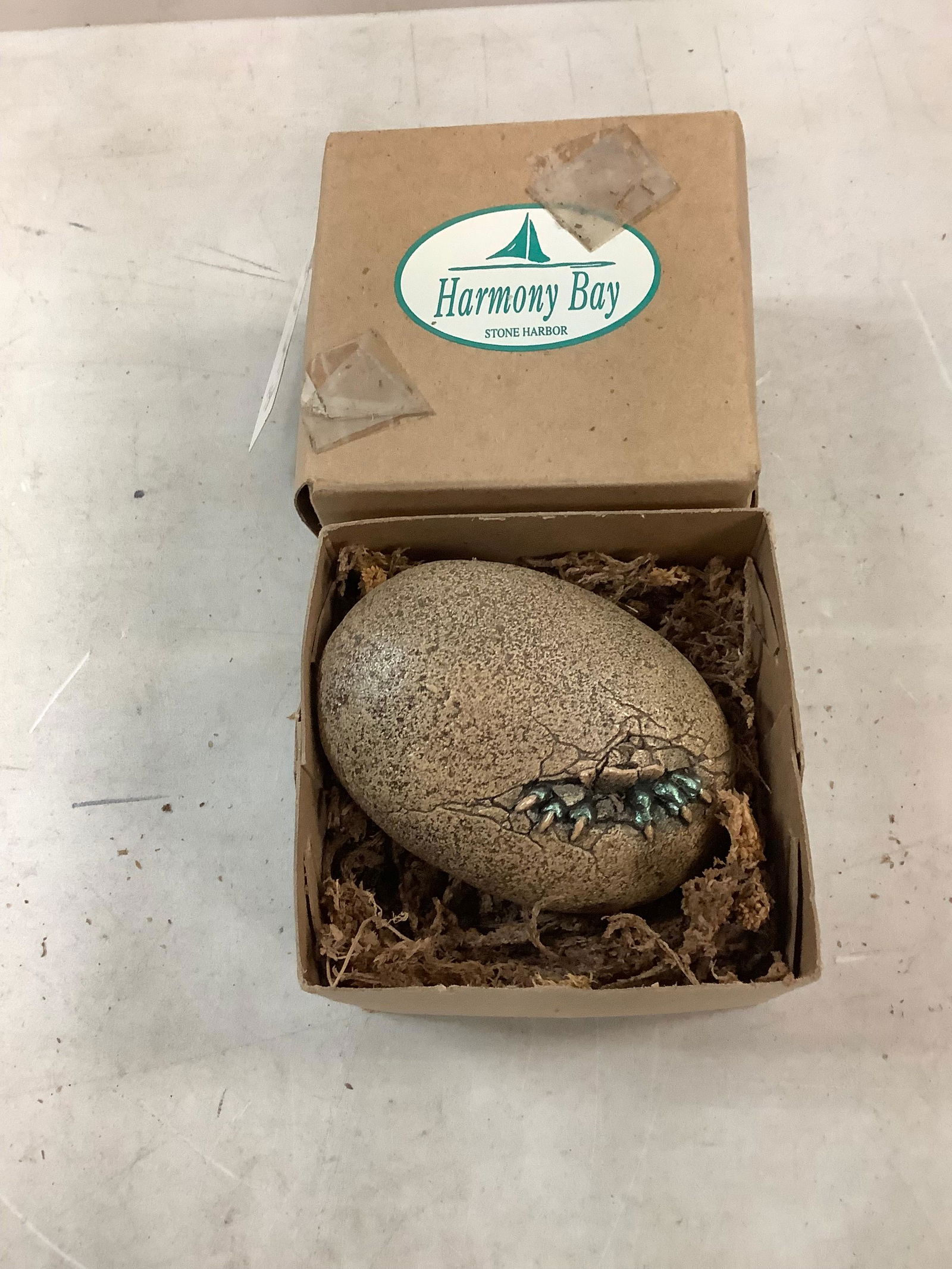 HARMONY BAY SOUVENIR fossil: HARMONY BAY SOUVENIR fossil