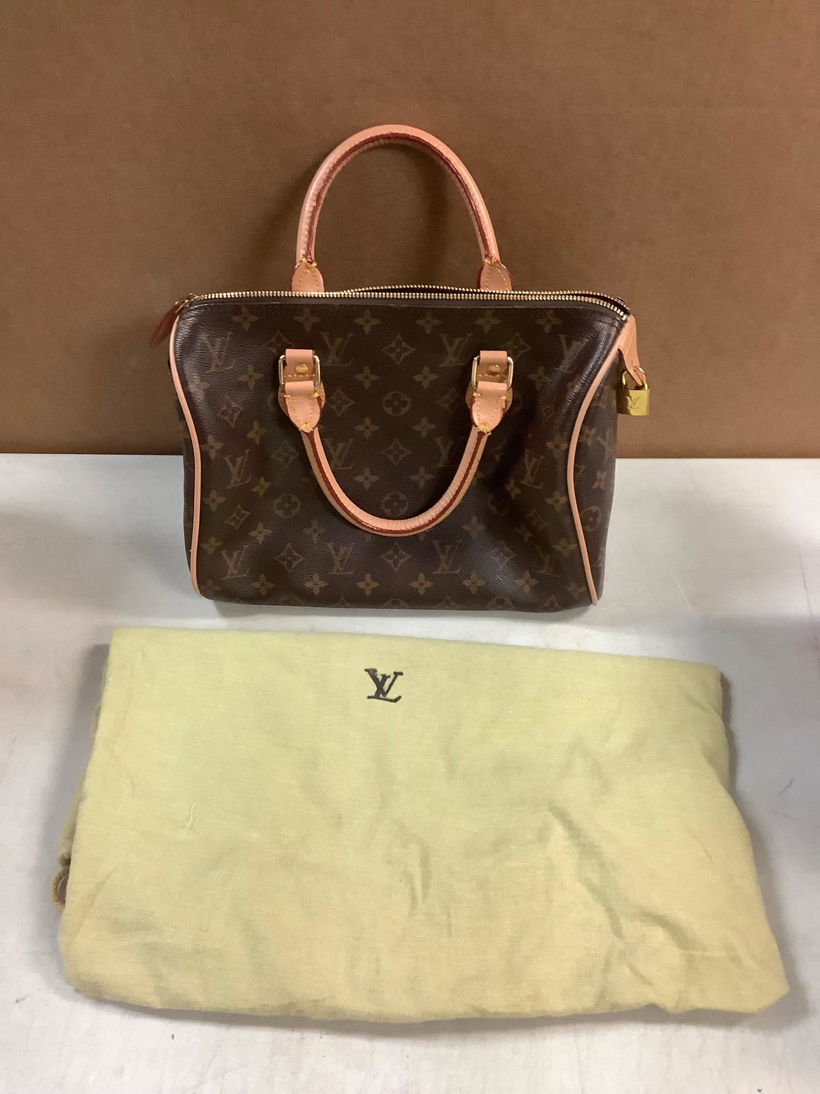 unauthenticated Louis Vuitton bag: unauthenticated Louis Vuitton bag