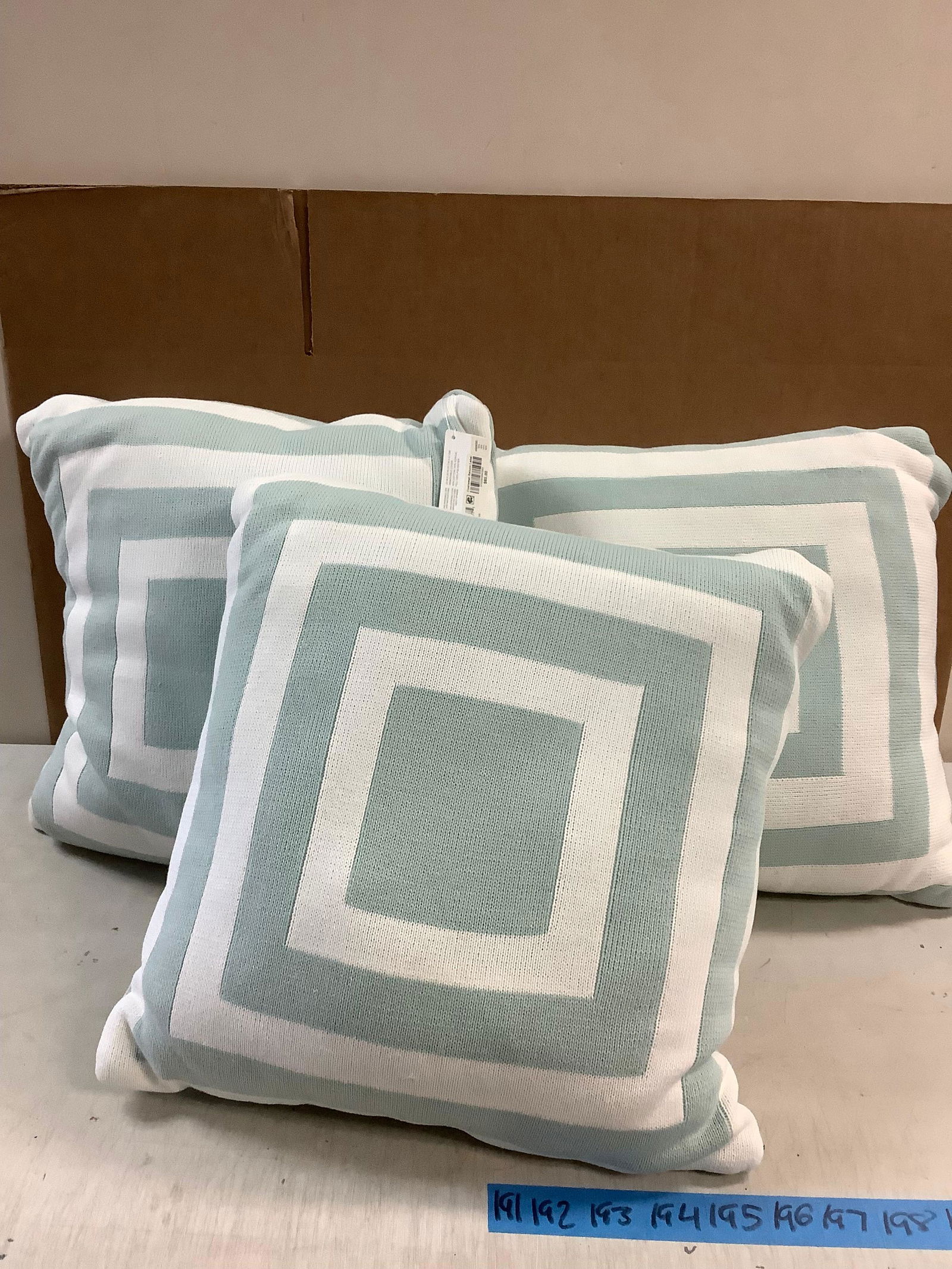 Lot of 4 New Hudson Park Collection Throw Pillows 20x20 (1 of 1)