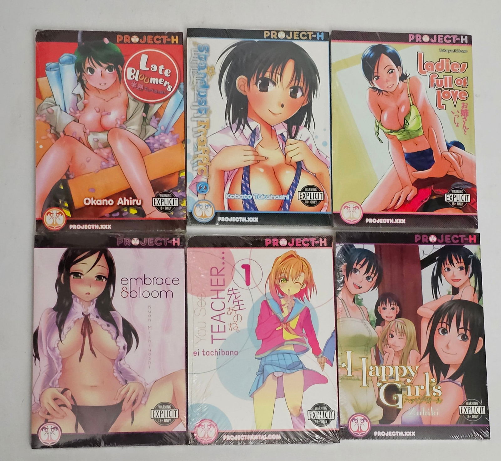 Adult Manga Anime Sealed Books incl Project H and More (1 of 2)