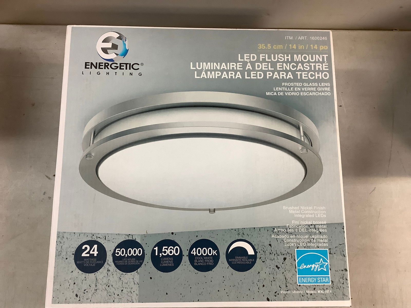 Energetic lighting LED flushmount (1 of 1)