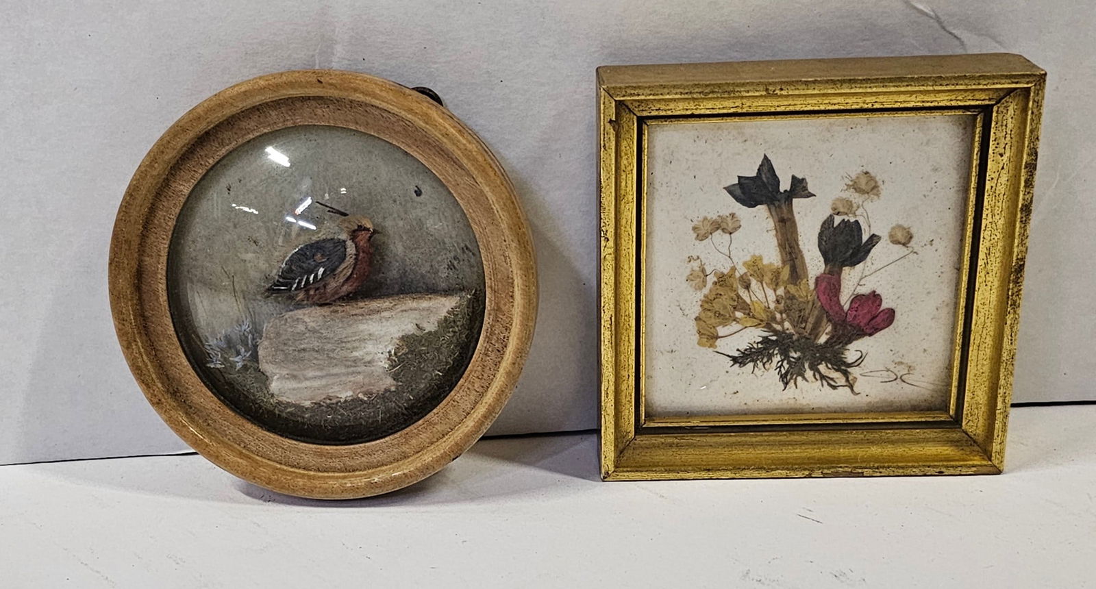 Vintage Mini Pressed Flower Art and Abercrombie and Fitch Bird (1 of 3)