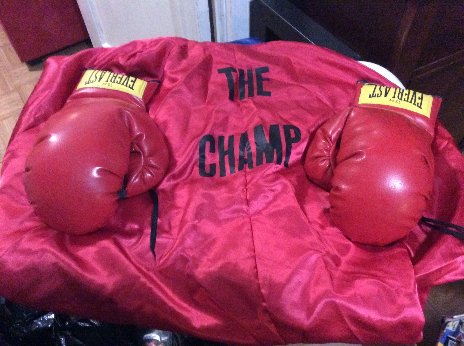 The Champ Robe and Everlast Boxing Gloves (1 of 1)