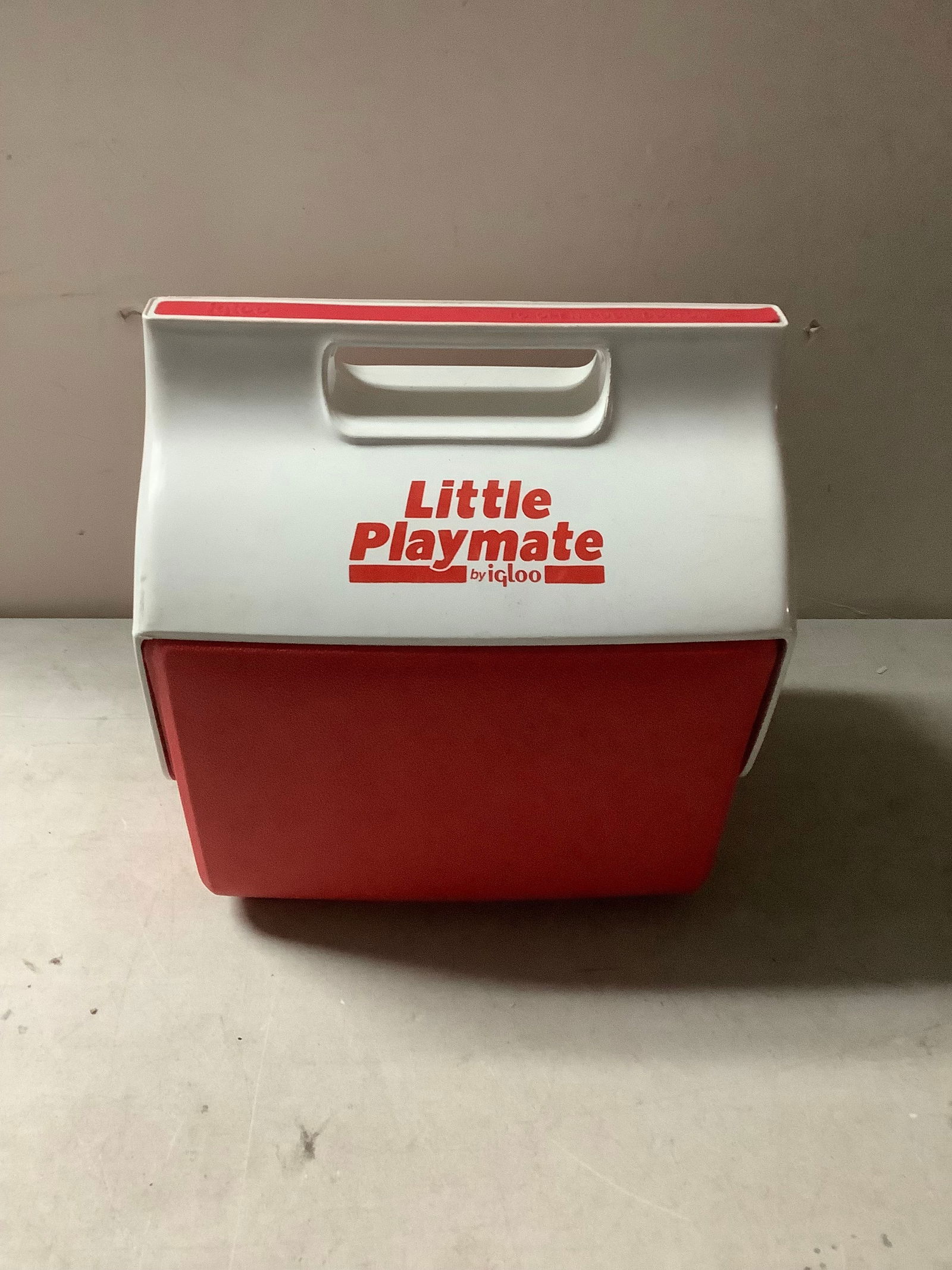 Little Playmate by Igloo lunchbox (1 of 1)