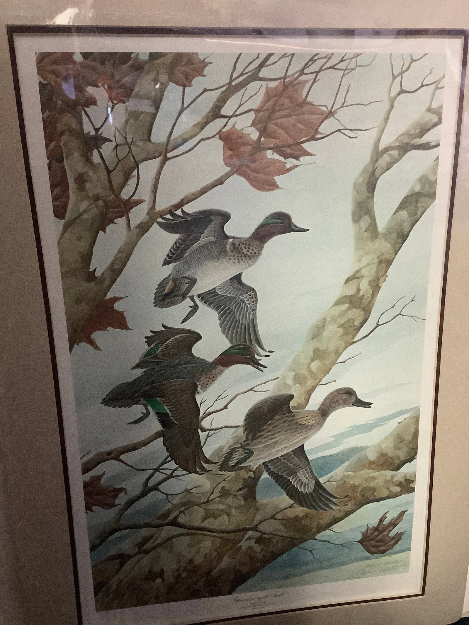 Green winged teal signed john a ruthven 23''x33'': Green winged teal signed john a ruthven 23''x33''