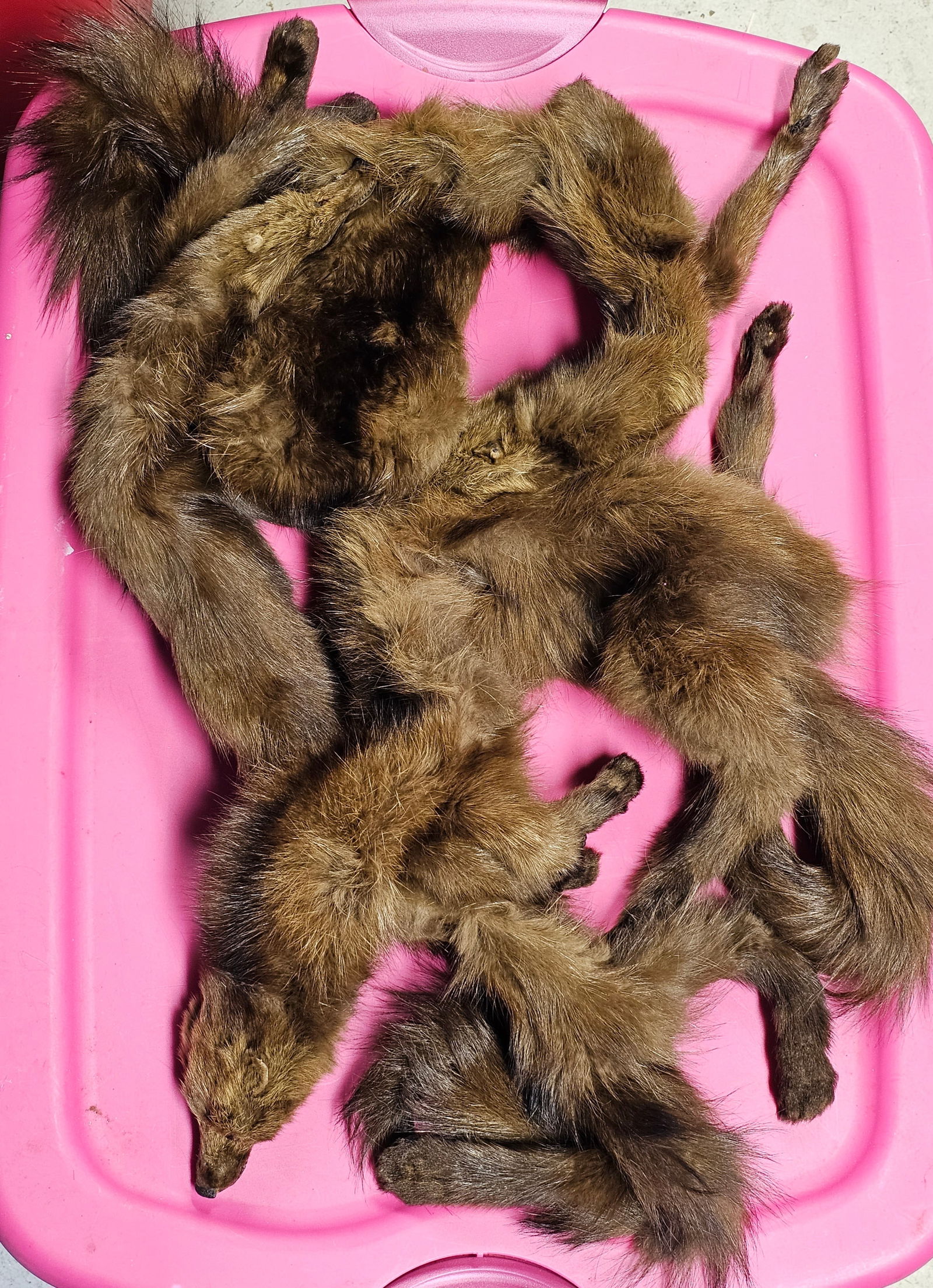 Vintage Multiple Mink Stole: Vintage Multiple Mink Stole