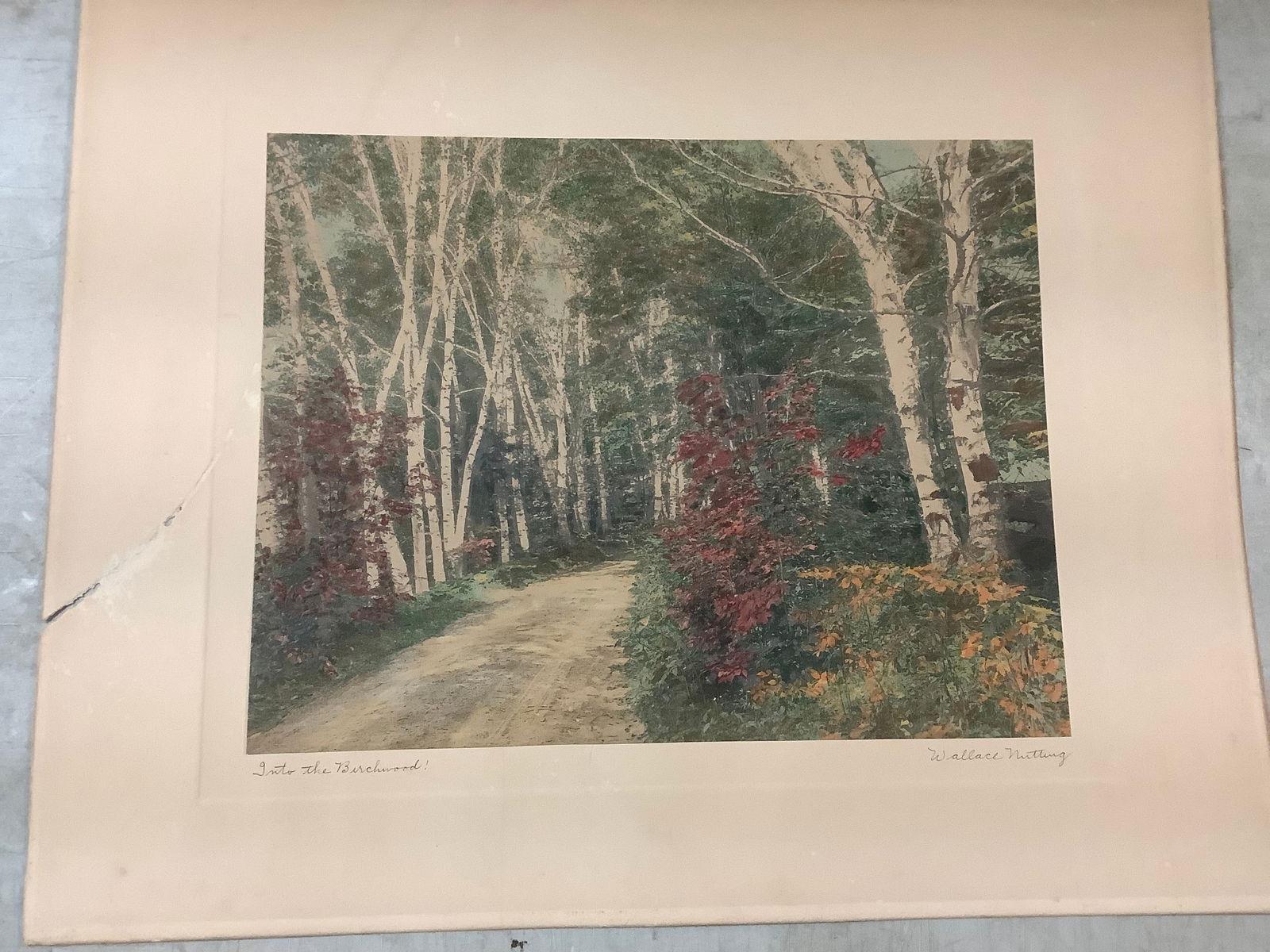 Into the birch wood by Wallace Nutting painting (16x20) (1 of 1)