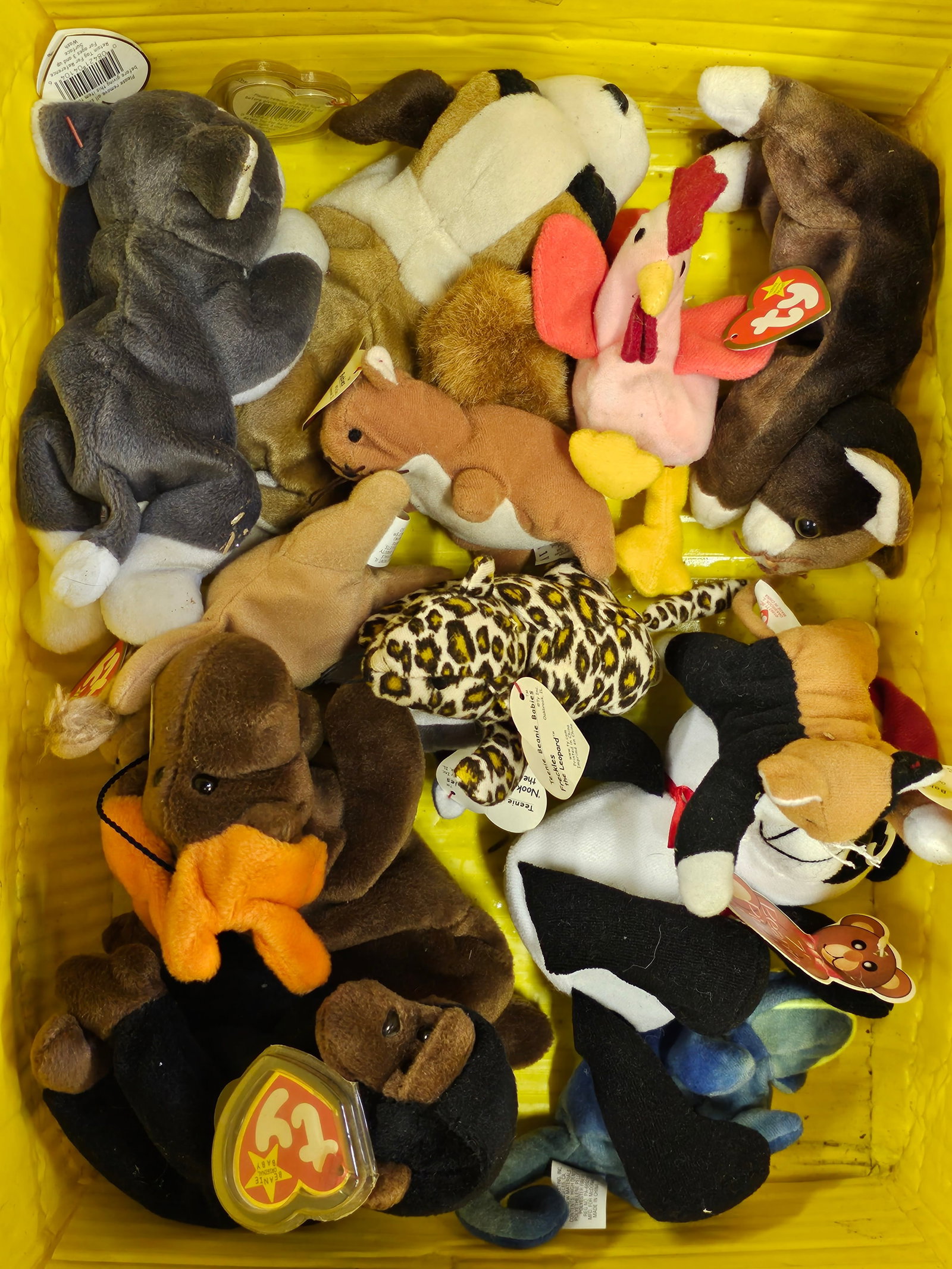 Ty Beanie Baby Collection: Ty Beanie Baby Collection