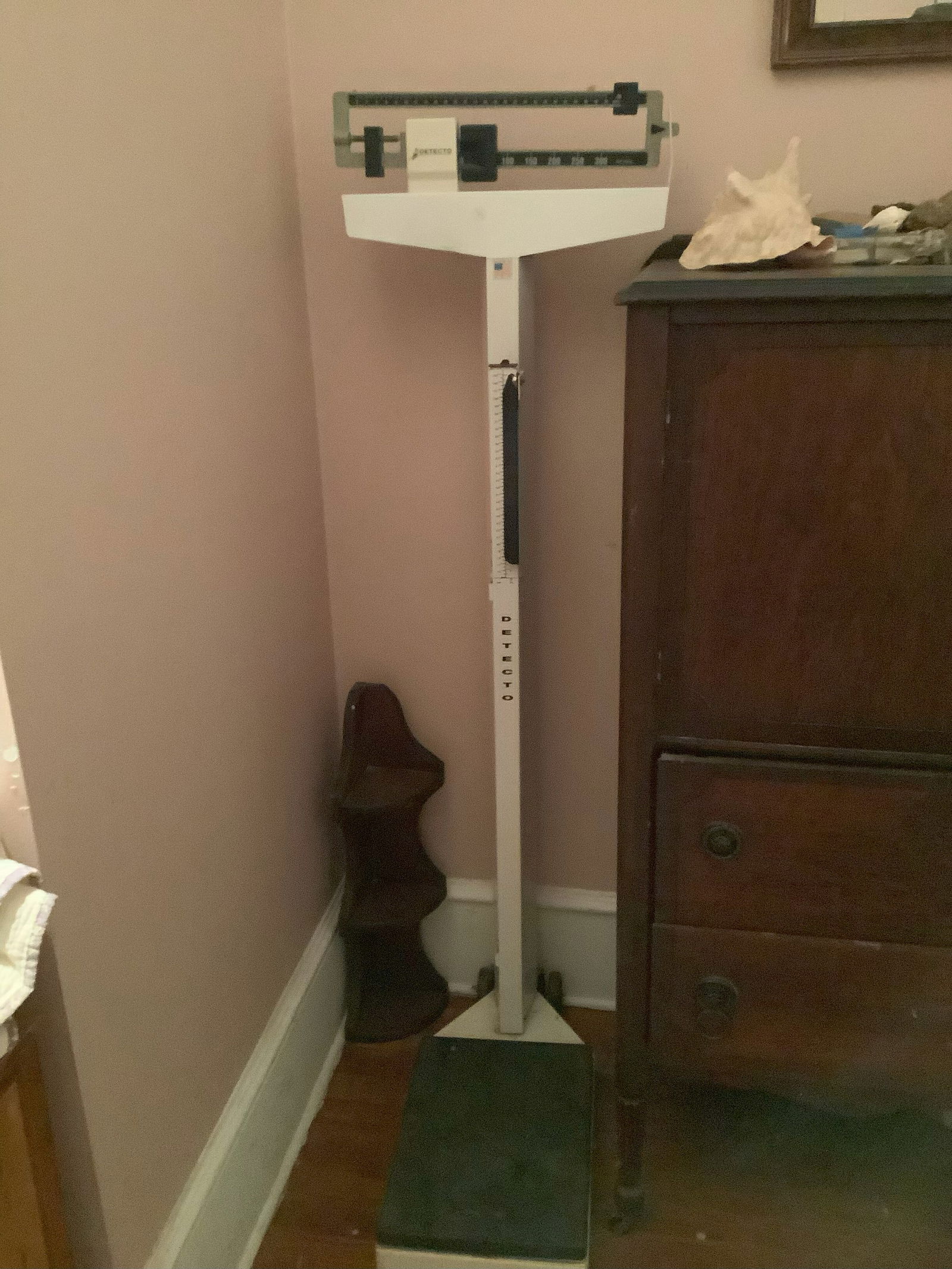 Detecto Doctors Scale (1 of 1)