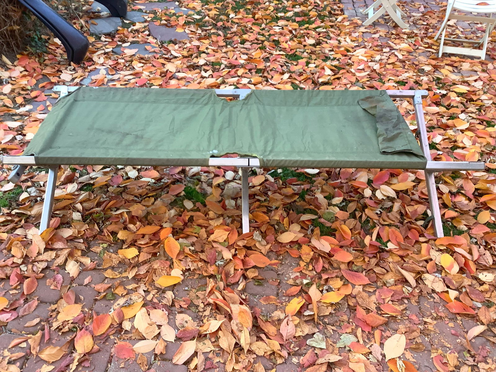 Vintage Sled – Fleetwing Racer (1 of 1)