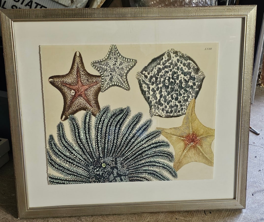 Nest Home Horizontal Sea Collection 2 frame; 22x25" (1 of 1)