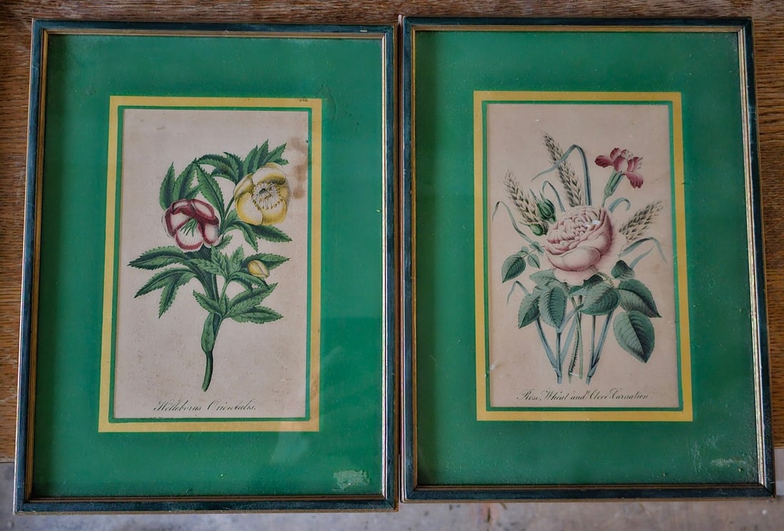 Vintage Framed Book Plates each framed; 12x9" (1 of 1)
