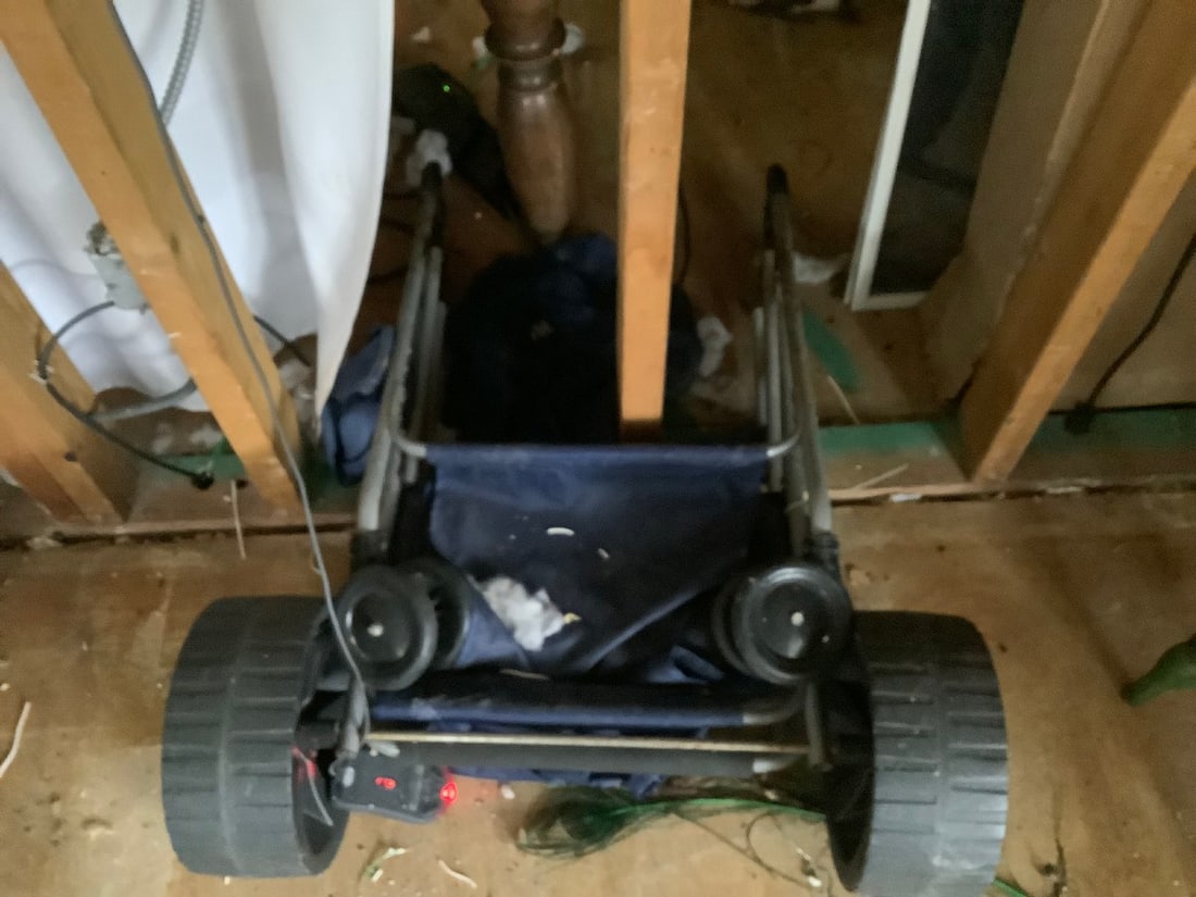 beach buggy (1 of 1)