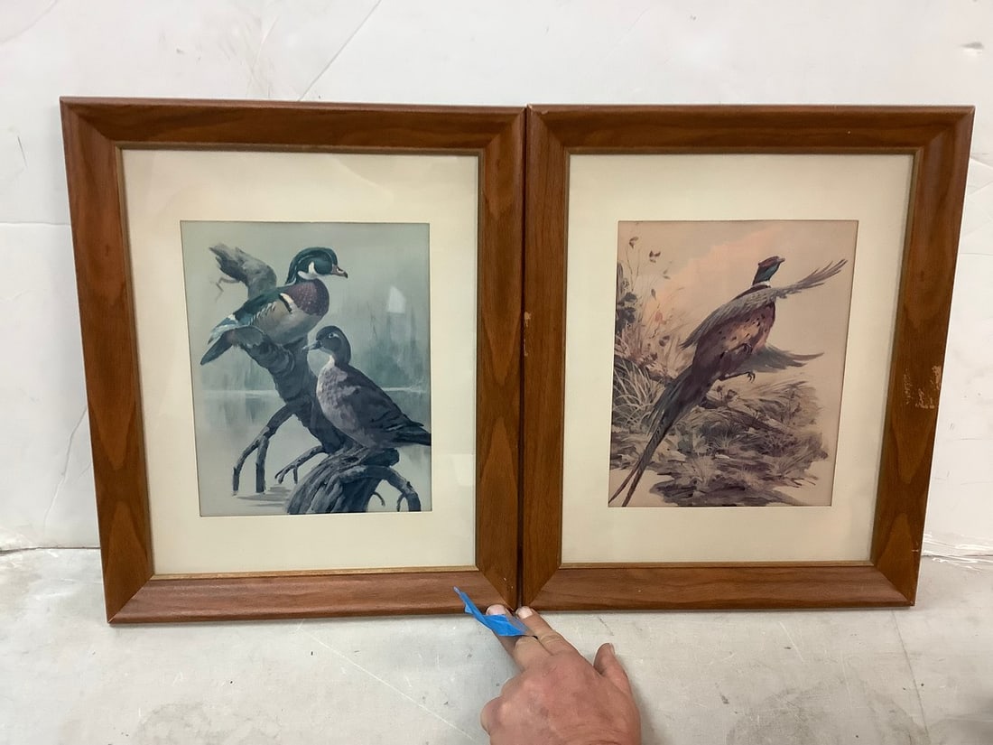 Pair of Duck Prints 13"x16" (1 of 1)