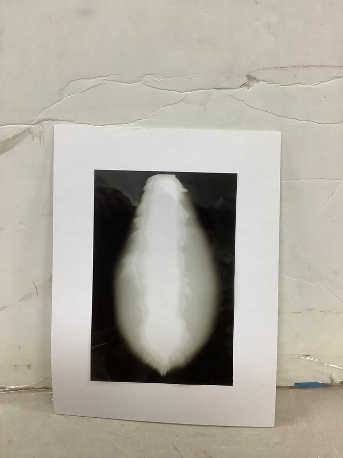 Hiroshi Sugimoto "Praise of Shadow" negative 11.5x8.75in.: Hiroshi Sugimoto "Praise of Shadow" negative 11.5x8.75in.